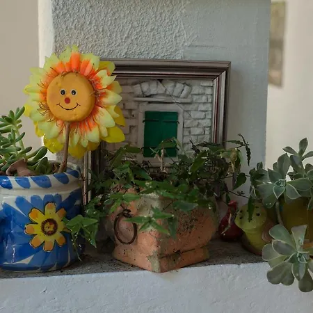 Апартаменты Marin Макарска